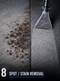 Spot/ Stain Removal