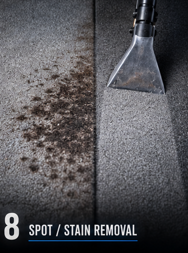 Spot/ Stain Removal